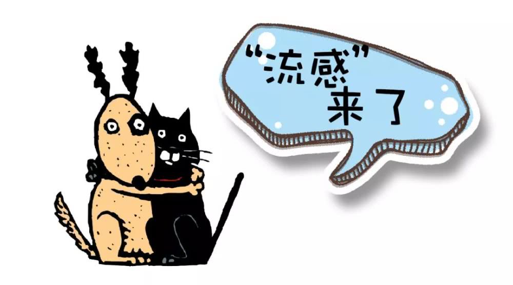 微信圖片_201901241041561.jpg