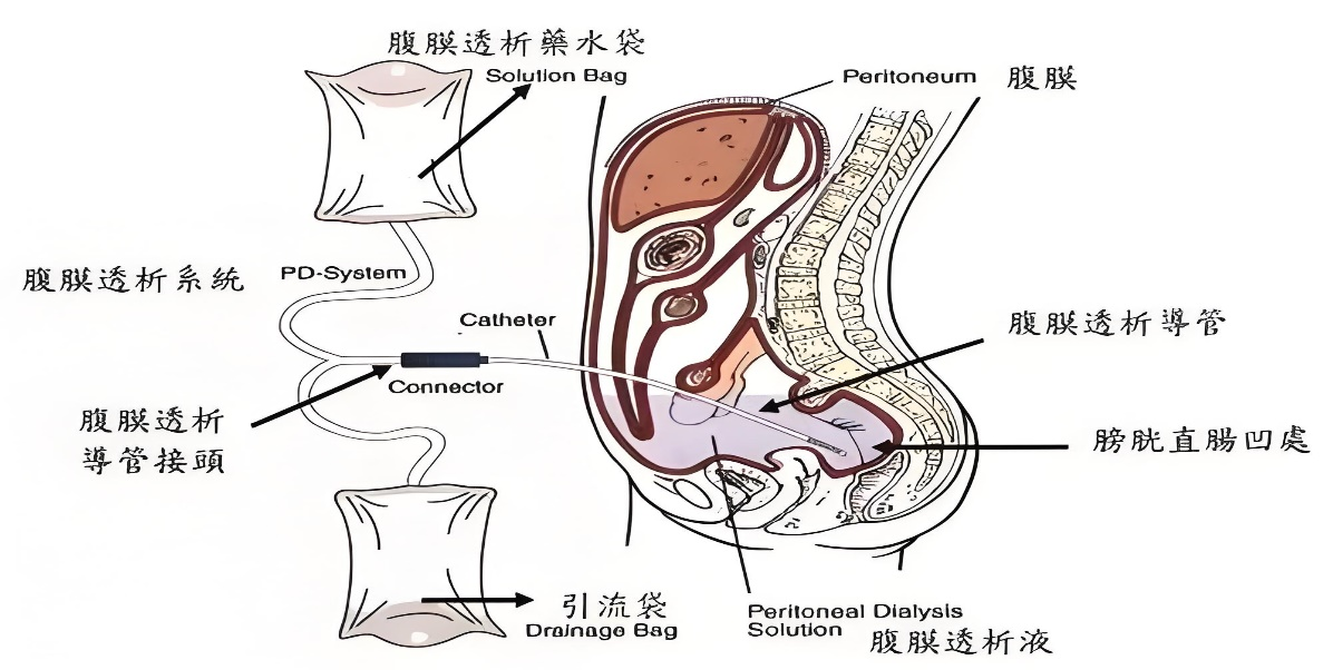 圖片3.png 圖片3.png