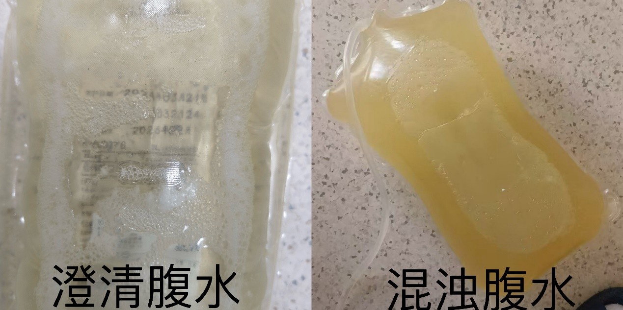 圖片2.png 圖片2.png