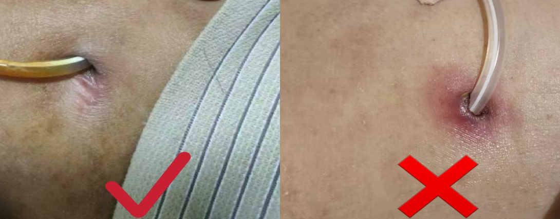圖片1.png 圖片1.png